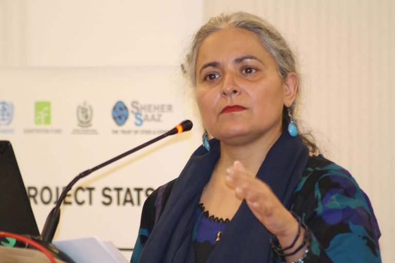 Shehersaaz - PUCCAR - Stakeholder Meeting (2)